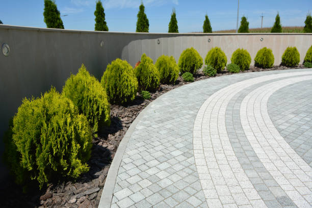 Reliable East Rockingham, NC Driveway Pavers Solutions